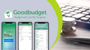 Goodbudget app - daily cup of bliss